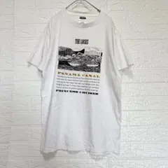 タルテックス Tシャツ フォト プリント 綿 カジュアル お出かけ