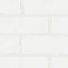 ガジュマル Mix (土植え) 観葉植物