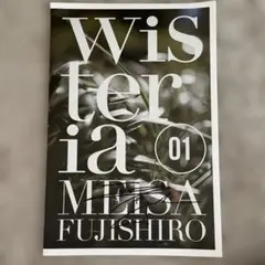 wisteria 01 Meisa Fujishiro サイン入りのサムネイル