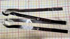 Item thumbnail for item 7b3b60cc-443c-4da1-9317-6106b68fe45d