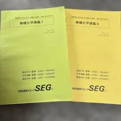 非売品】SEG 化学 テキスト 理論化学の総点検 授業プリント付き - メルカリ