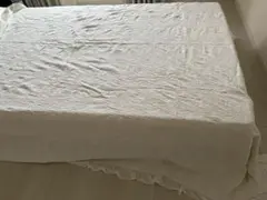 ザラ