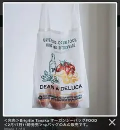 Brigitte Tanaka オーガンジーバッグFOOD ブリジットタナカ