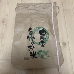 Item thumbnail for item 1a4b16e7-de65-499e-9b6f-48ccfb46300c