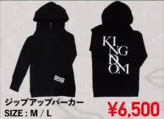 SPYAIR キングダム ツアー パーカー