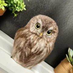 Item thumbnail for item 04bdfd75-c8da-4e58-8852-4963dc85b8c3