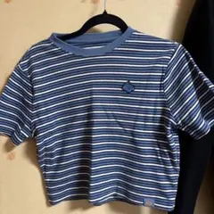 Dickies ボーダー クロップドTシャツ ブルーのサムネイル