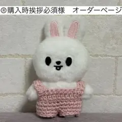 ®️購入時挨拶必須様　skzoo 10cm ぬい服　straykids