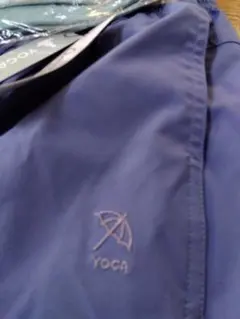 Item thumbnail for item e0c49934-d8cf-495e-be9d-5b0af2d951d4