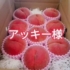 アッキー様専用　山梨県産　天然の桃ジュース　日川白鳳　3kg箱