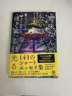 30%off 美品 意味なんかないけど僕たちは光る