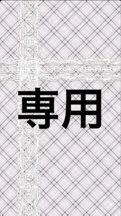 専用ページ