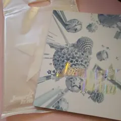 Johnny's Island パンフレット オールスターズ