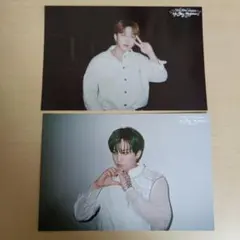 straykids スキズ 展覧会 ポストカード チャンビン