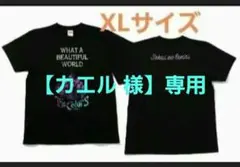 SEKAI NO OWARI Tシャツ XLサイズ