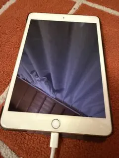 Apple iPad 本体