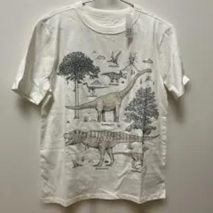GAP 恐竜イラスト Tシャツ 130cm