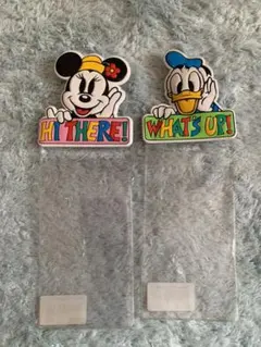 ディズニーランド　チケットホルダー　ミニー　ドナルド