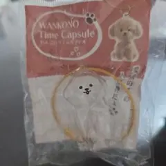 わんこのタイムカプセル