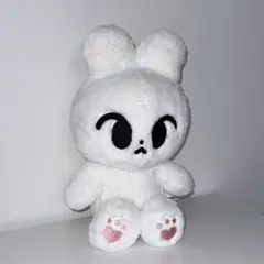 NCT127 NCT ドヨン 다님 ダニム 왕또 ワント ぬいぐるみ Qoo10] NCT127 ドヨン 45CM マスタ