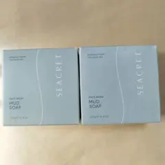 Item thumbnail for item 453fbf70-fa9f-4403-9da6-af6c54de70d3