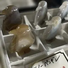 限定9000体 KOSTA BODA WWF 世界自然保護基金 brown 鳥 - メルカリ