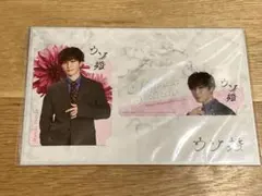 Snow Man 渡辺翔太くん ウソ婚 ドラマコレクションカード