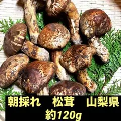 2025年最新】山梨県 松茸の人気アイテム - メルカリ