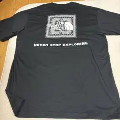 THE NORTH FACE ブラック バンダナスクエアロゴ Tシャツ