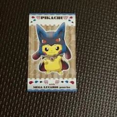 穿著雨衣的皮卡丘名片卡 烈空坐