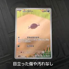 〈まとめ割引あり〉ポケモンカードゲーム　パルデアウパー　すみかをさがす　AR