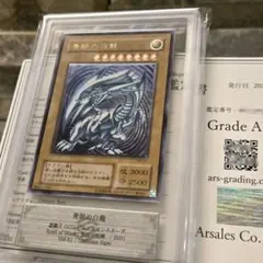 CS優勝 リース御代紅海 リースギャラクシー テクノサムライ - メルカリ