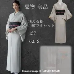 イ9986未使用近い　美品　正絹　絽　小紋　夏もの　薄物　フルセット