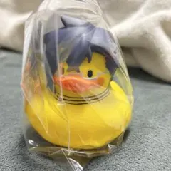 Item thumbnail for item 62f74a16-8e94-46f7-817f-411852e494a8