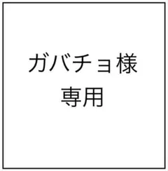 ガバチョ様専用