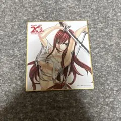 フェアリーテイル FAIRY TAIL 色紙 エルザ
