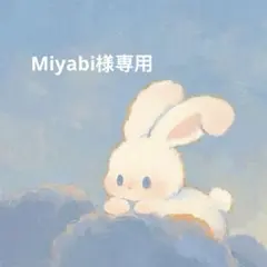 Miyabi様リクエスト 3点 まとめ商品