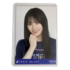 Item thumbnail for item 1e643e4a-48d5-4016-af51-0786ee202393