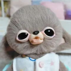 チワボボちゃん①　うたたねちゃん　おしゃぶり付き　アートドール　ぬいぐるみ 2026年最新】チワボボの人気アイテム - メルカリ