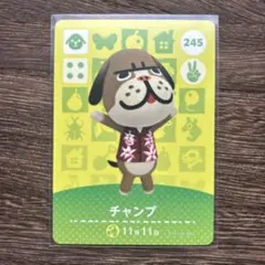 どうぶつの森　amiiboカード　245　チャンプ　1枚