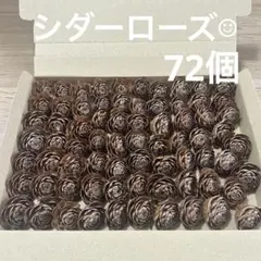 Item thumbnail for item cc0c4045-5729-4db3-8e08-4fa7a82a6759