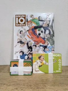 ハイキュー 10th クロニクル 中国版 特典 IDカード キャラカード