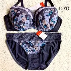 トリンプ ブラ ショーツセットD70