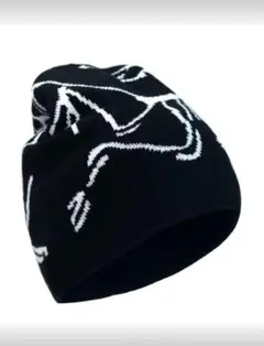 unknown ニット帽　Arc'teryx