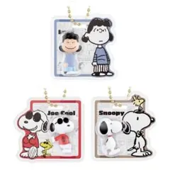 PEANUTS パッケージチャーム スヌーピー 3種セット