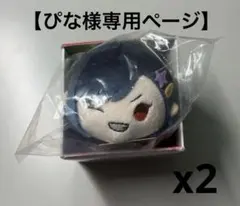 【ぴな様専用ページ】