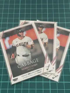 BBM 2025 fusion T.キャベッジ　セット