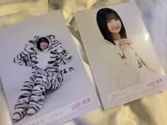 櫻坂46 山田桃実 生写真 まとめ売り - メルカリ
