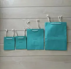 【美品】TIFFANY & Co. ティファニー ショッパー 紙袋 2枚セットのサムネイル