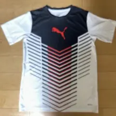 PUMA キッズ 160相当 スポーツウェア／US XL（13–14Y）